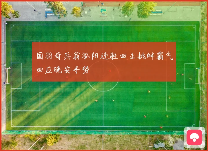 国羽奇兵翁泓阳连胜回击挑衅霸气回应晚安手势